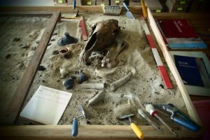 Niedziela z archeologią @ Muzeum im.J. Malczewskiego